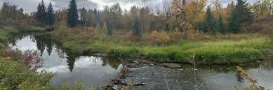 Blackmud Creek Edmonton Real Estate & Homes for Sale